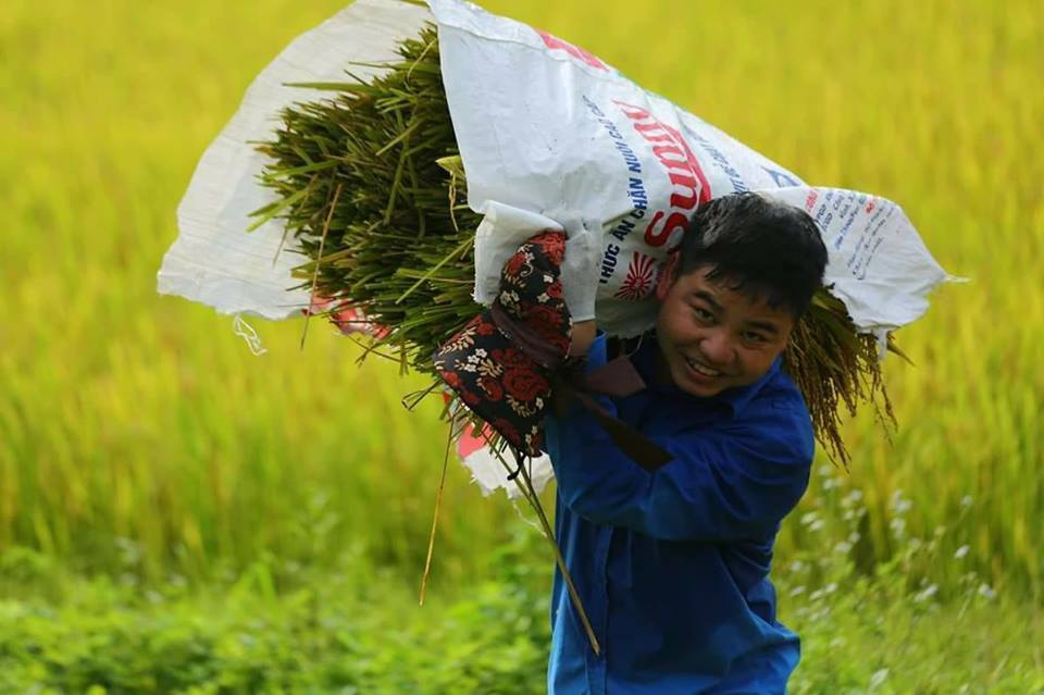 Sinh viên ngành Công tác xã hội cùng Hội người khuyết tật Thành phố Thái Nguyên thực hiện chương trình “Chung tay mùa gặt”